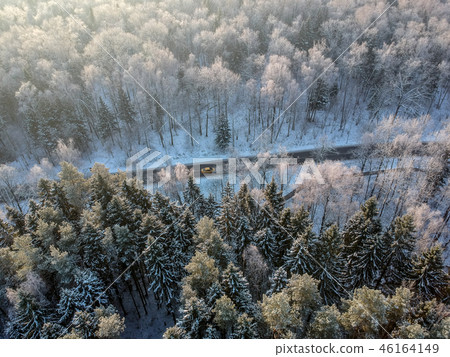 Winter forest with a road on a cold sunny morning  46164149