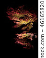 Autumn leaves and stone lanterns 46165820