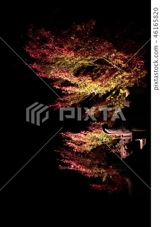 Autumn leaves and stone lanterns 46165820