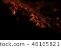 Autumn leaves night 46165821