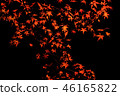 Autumn leaves night 46165822
