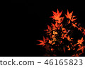 Autumn leaves night 46165823