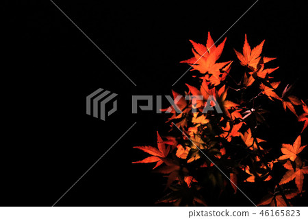 Autumn leaves night 46165823