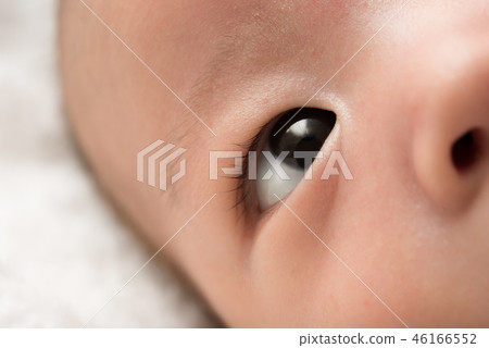 baby baby 46166552