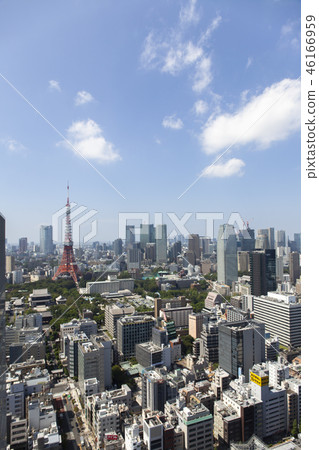 東京鐵塔/城市景觀 東京鐵塔/城市景觀 46166959