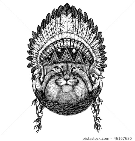Manul, cat. Wild animal wearing inidan headdress with feathers. Boho chic style illustration for 46167680
