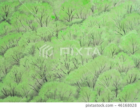 Fresh green Fresh green 46168028