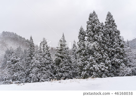 一個多雪的日山形的風景 46168038