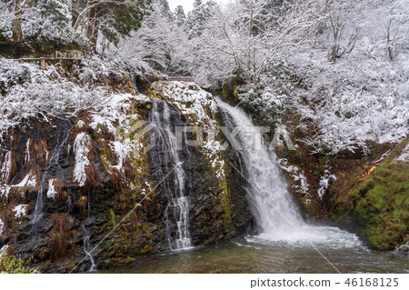 Yamagata-Ginzan Onsen Shiragin在冬天落 46168125