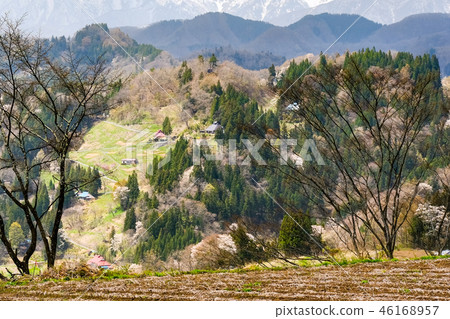 Spring Shinshu Ogawa 46168957