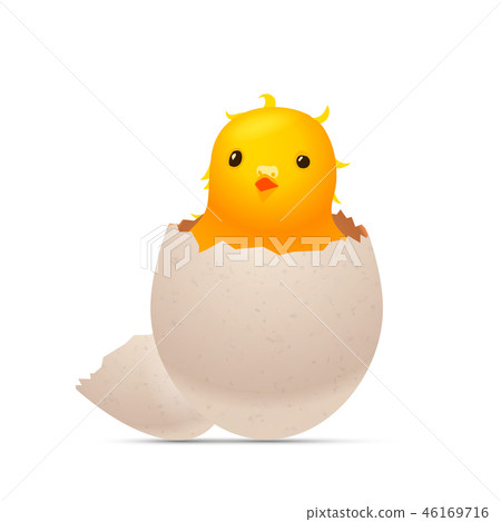 Cracked egg with chick inside on white Cracked egg with chick inside on white 46169716