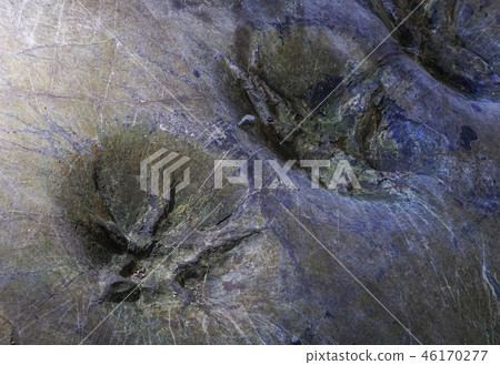 Uhangri Dinosaur Site Uhangri Dinosaur Site 46170277