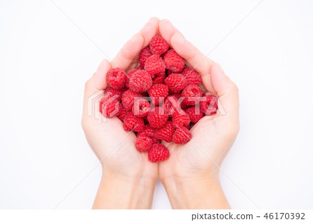 覆盆子 覆盆子 46170392