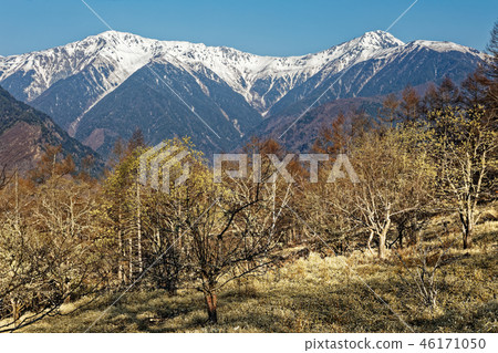 從Yasha Kamisu看到的Mt. Kitadake和Nodakake山的降雪 從Yasha Kamisu看到的Mt. Kitadake和Nodakake山的降雪 46171050
