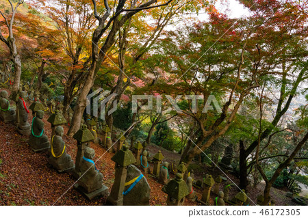 Autumn leaves of Changgyeongsa Temple 46172305
