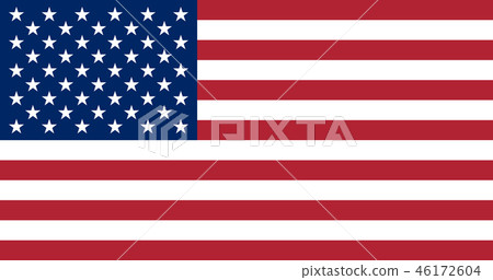 Flag of the USA. Flag of the USA. 46172604