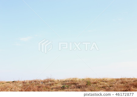 Image of 46172877