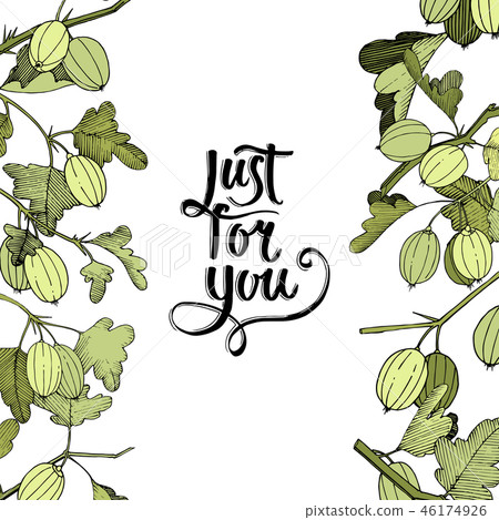 Vector Gooseberry branch. Green leaf. Floral border. Just for you handwriting monogram calligraphy 46174926