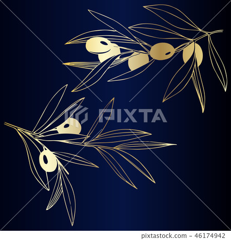 Vector Golden olive branch. Plant botanical foliage. Golden engraved ink art. Isolated olive Vector Golden olive branch. Plant botanical foliage. Golden engraved ink art. Isolated olive 46174942
