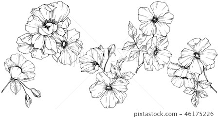 Vector Rosa canina flower. Black and white engraved ink art. Isolated rosa canina illustration Vector Rosa canina flower. Black and white engraved ink art. Isolated rosa canina illustration 46175226