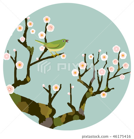 我向Ume投降 46175416