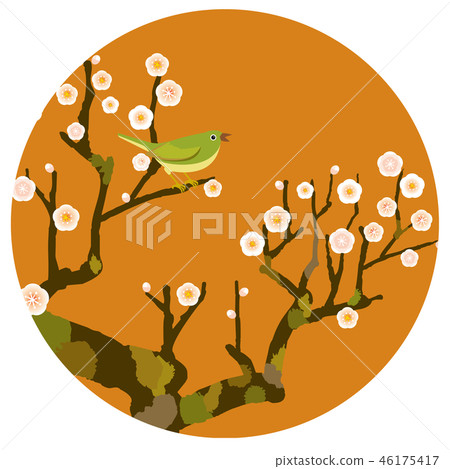 I surrender to Ume 46175417