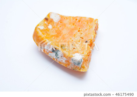 cheese mold on isolated white 46175490