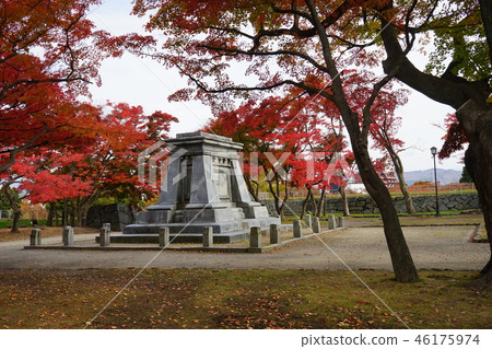秋天盛岡城堡廢墟公園 秋天盛岡城堡廢墟公園 46175974