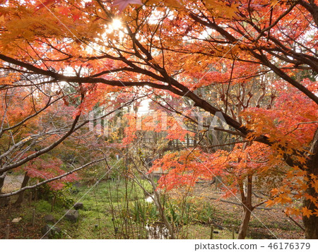 斜紋編織秋天的風景 斜紋編織秋天的風景 46176379