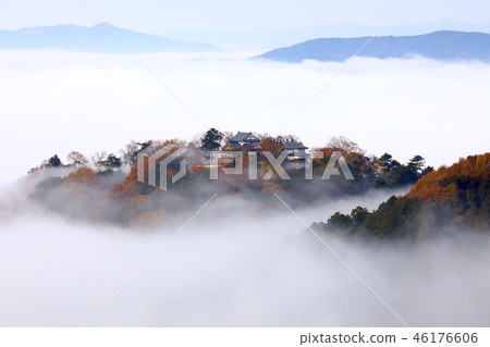 天堂城堡3209 天堂城堡3209 46176606