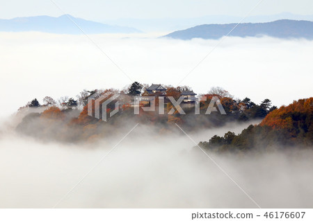 天堂城堡3210 天堂城堡3210 46176607