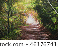 晚秋森林公路繪畫工作 46176741