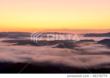 Mt. Mt. 46176774