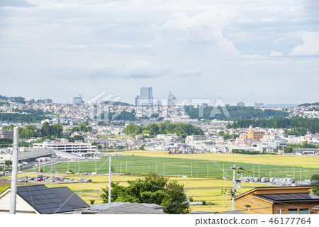 Cityscape seen from the suburbs 46177764