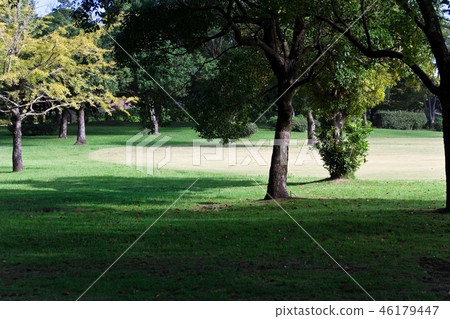 Early morning park Early morning park 46179447