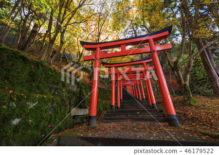 Arikoyama Inari Shrine的鳥居 46179522