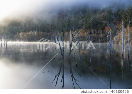 秋季葉子自然湖 46180436