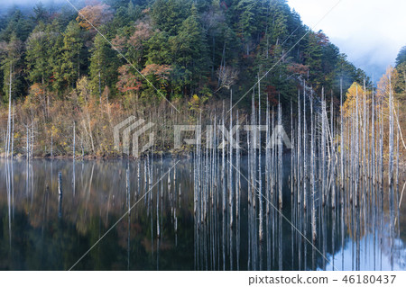 秋季葉子自然湖 秋季葉子自然湖 46180437