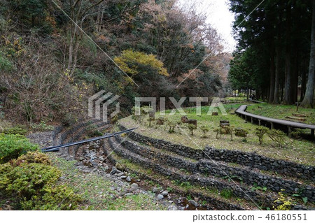 Dajizawa in December Dajizawa in December 46180551