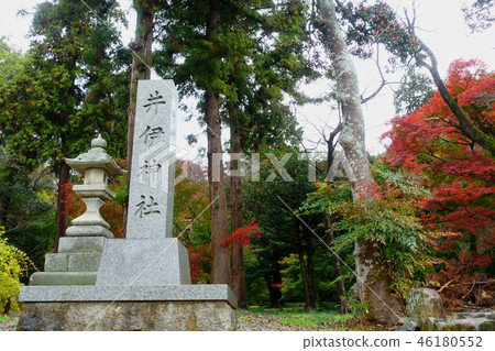 It is autumn scenery with the monument and stone lanterns of Ii Shrine in Hikone city, Shiga 46180552