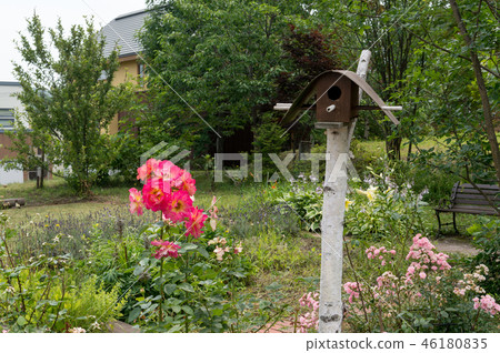 Flower garden 46180835
