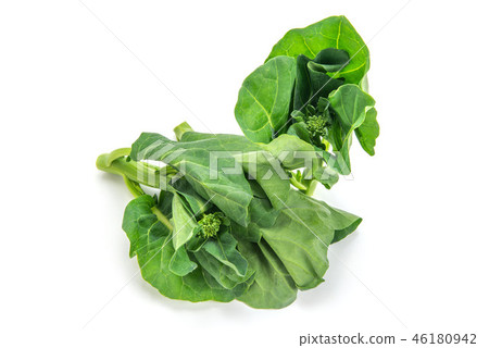 Chinese cabbage 46180942