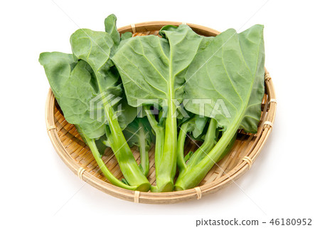 Chinese cabbage 46180952