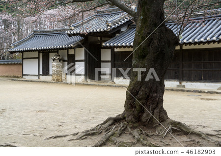 traditional korean house 46182903