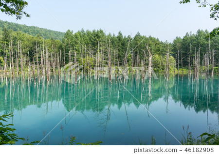 Blue Pond Blue Pond 46182908