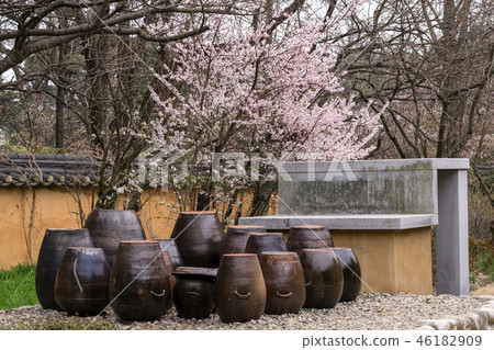 Cherry blossom in a garden Cherry blossom in a garden 46182909