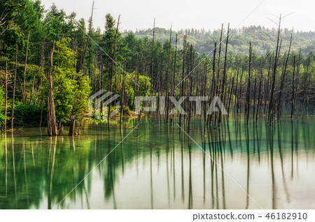 Blue Pond 46182910