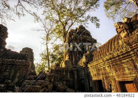 Ta Prohm 46184922