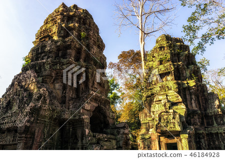 Ta Prohm Ta Prohm 46184928