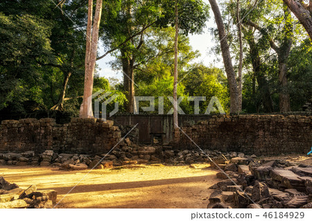 Ta Prohm Ta Prohm 46184929